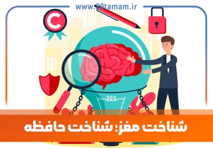شناخت مغز؛ شناخت حافظه