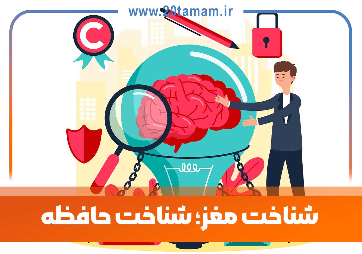 شناخت مغز؛ شناخت حافظه